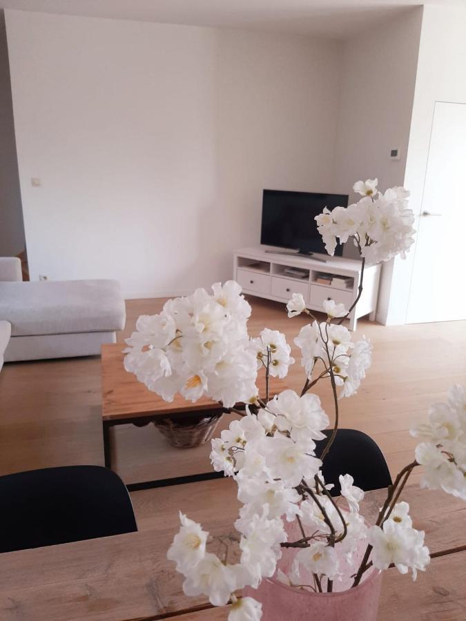 Luxe Duplex Appartement Mavi Gistel Eksteriør bilde